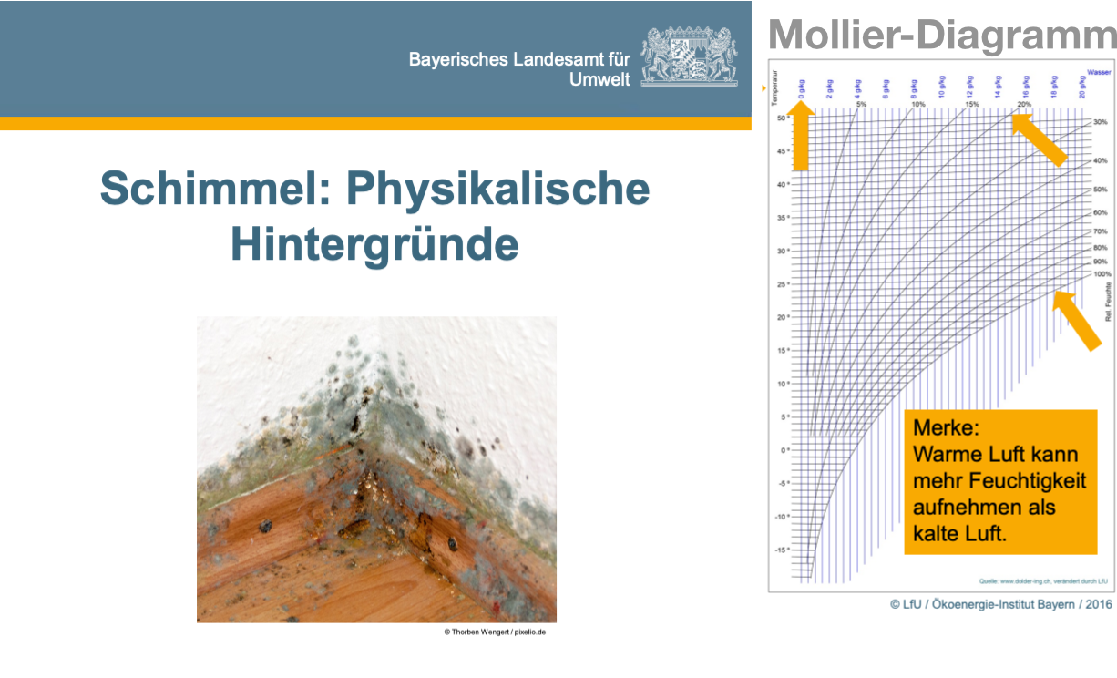 Schimmel: Physikalische Hintergründe - Bayerisches Landesamt für Umwelt